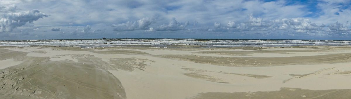 bdm 202604 alfred lötsch blick zum meer