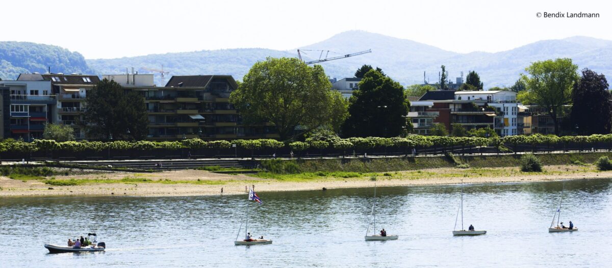 rheinwoche 2026 (2)